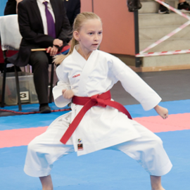ninka1