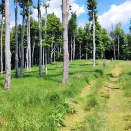 zo_skalnatej_na_jagrovu