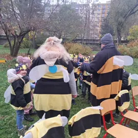 20241119_133241