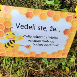 316115549_10229923051202366_2904437084478609623_n