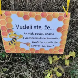 316135084_10229923051962385_3676324891120752561_n