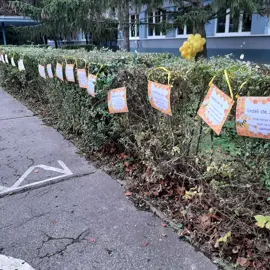 316240745_10229923052482398_8742853144967197459_n