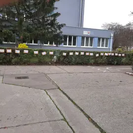 316677015_10229923050162340_2370052088323782042_n