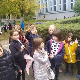 39bfcfe6-435e-495c-bb06-526ed34c24d5