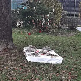 20221208_105454