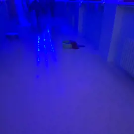 20231110_203004