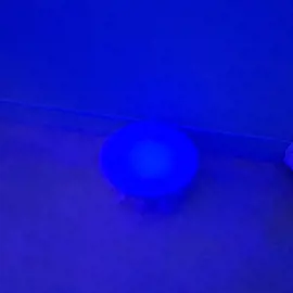 20231110_203301