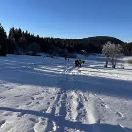 whatsapp-image-2026-01-19-at-16.15.11-(1)