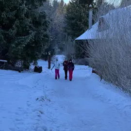 whatsapp-image-2026-01-19-at-16.15.11-(5)