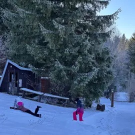 whatsapp-image-2026-01-19-at-16.15.11-(7)