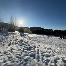 whatsapp-image-2026-01-19-at-16.15.11