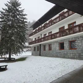 whatsapp-image-2026-02-10-at-08.11.21