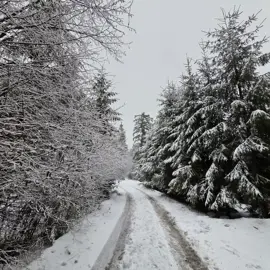 whatsapp-image-2026-02-10-at-13.09.06-(1)