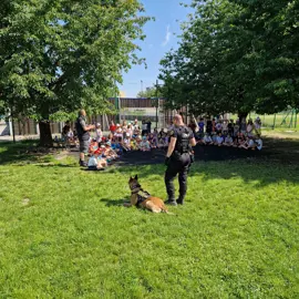 MDD - Policajní kynológovia v škole
