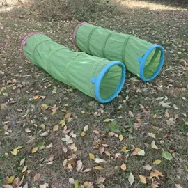20240910_125609