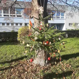 Sedliacky vianočný stromček