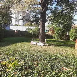 ŠKD - Kravička Malina