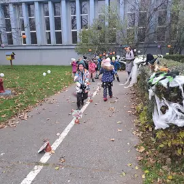 20241113_124134