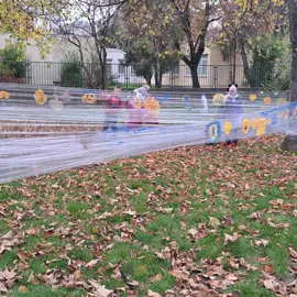 20241113_125419