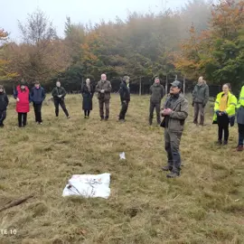 vzdelavanie-ekologia-lesa