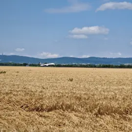 20240626_103608