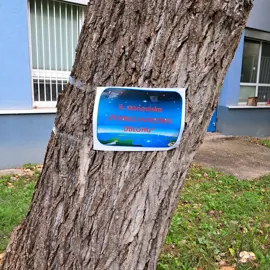 20240926_102050