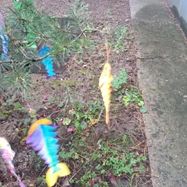 20231127_131429