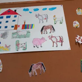 img-20230127-wa0003